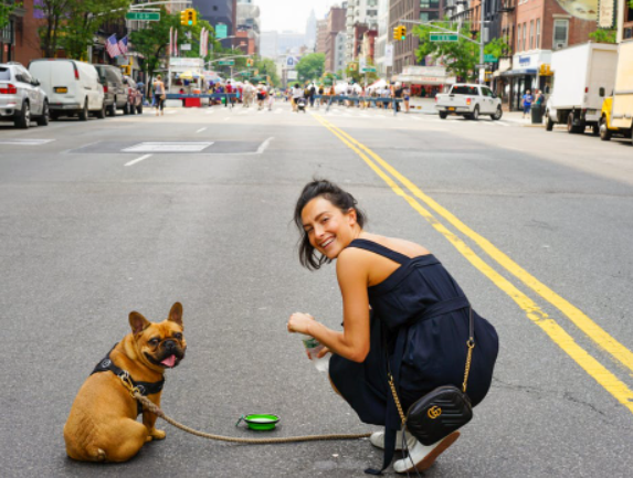 leashed dog
