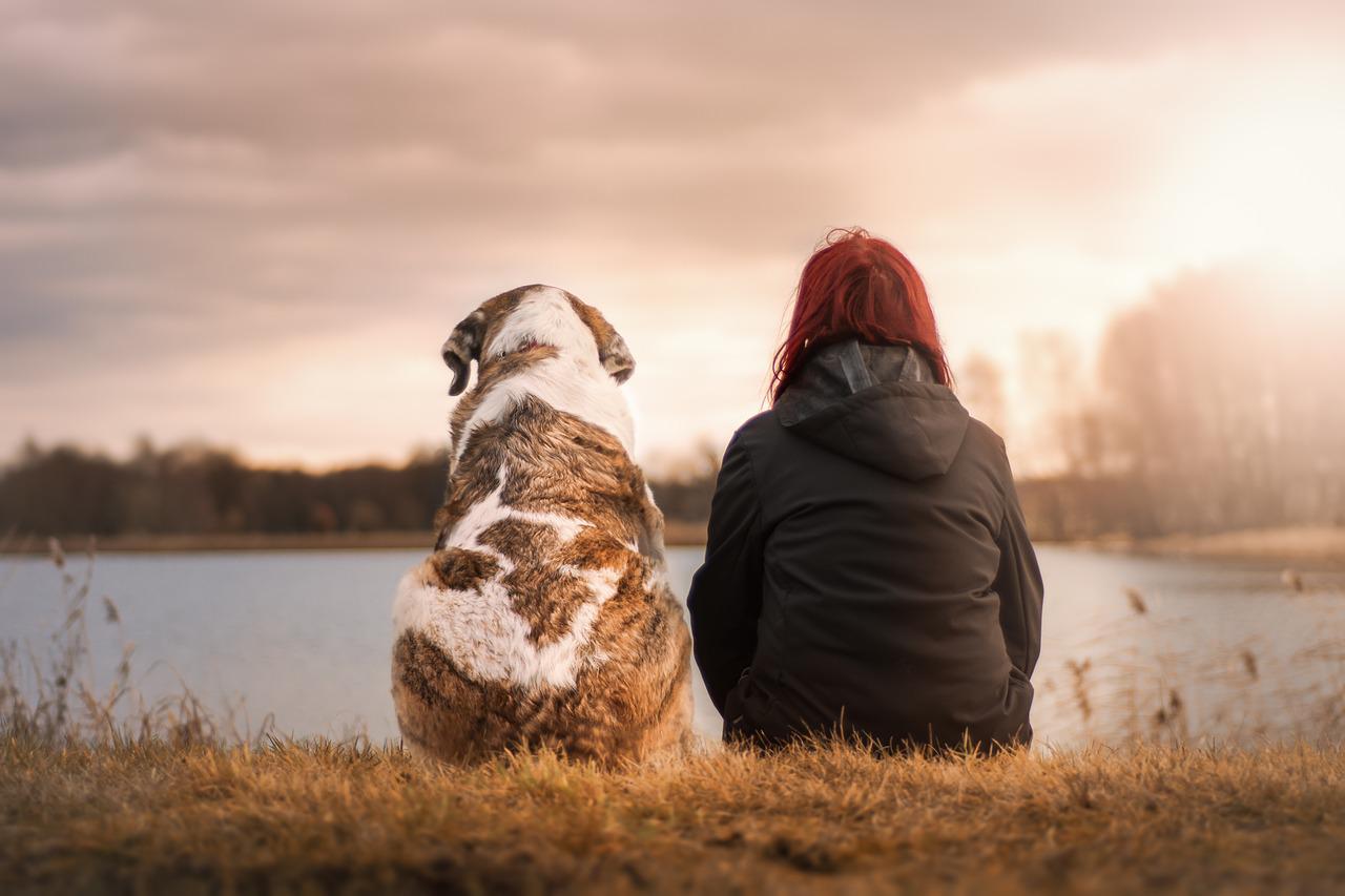 How to Choose a Dog Based on Your Personality